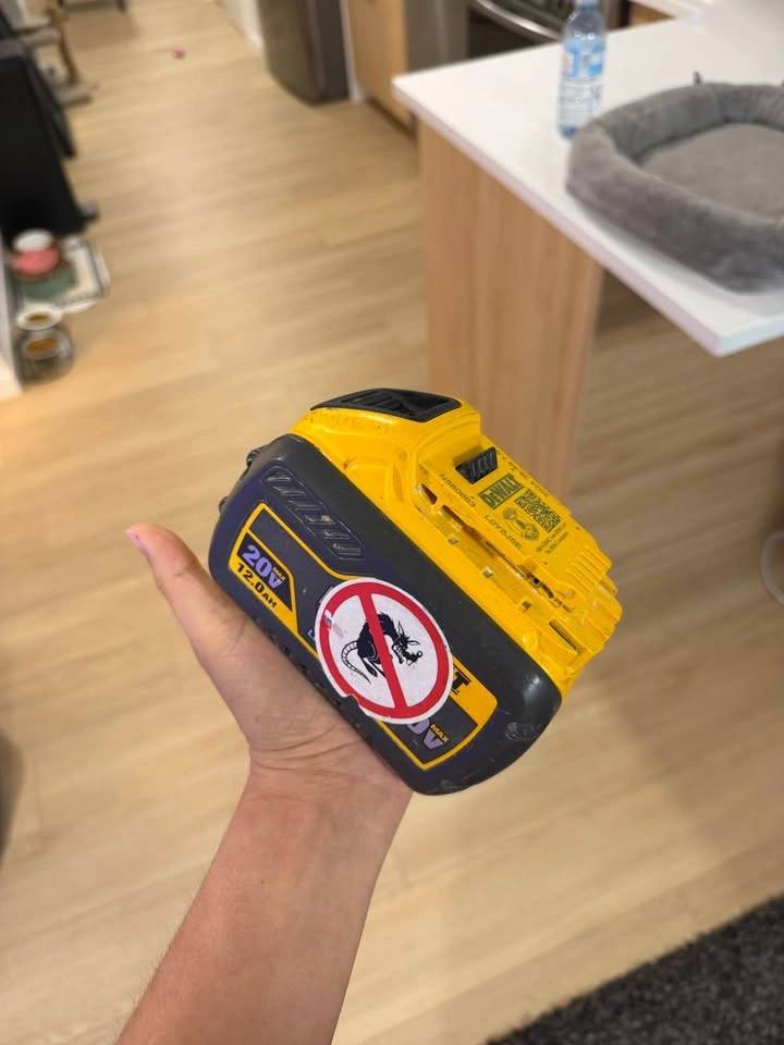 DEWALT 20V/60V MAX FLEXVOLT 12.0 AH Battery - photo 2