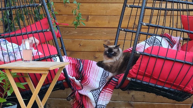 Hanging basket swing x2 with covers