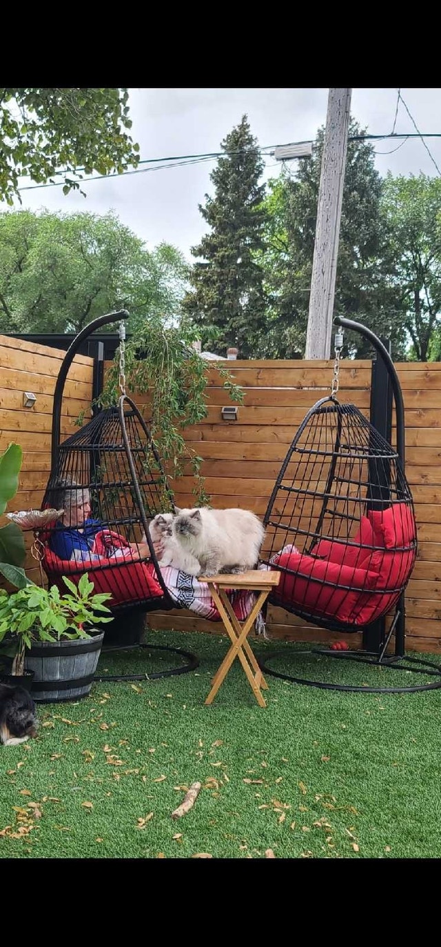 Hanging basket swing x2 with covers - photo 2