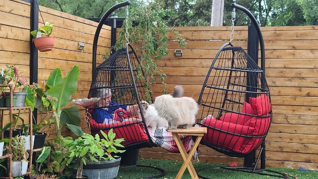 Hanging basket swing x2 with covers - photo 3