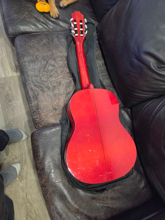 Acoustic Guitar with Case and Lesson Book - photo 2
