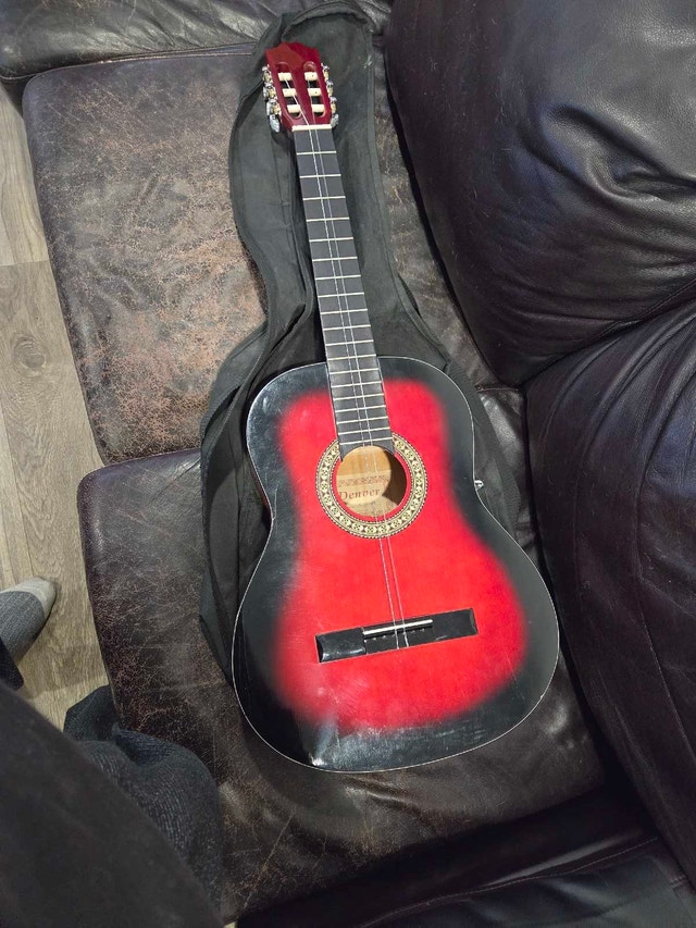 Acoustic Guitar with Case and Lesson Book - photo 3