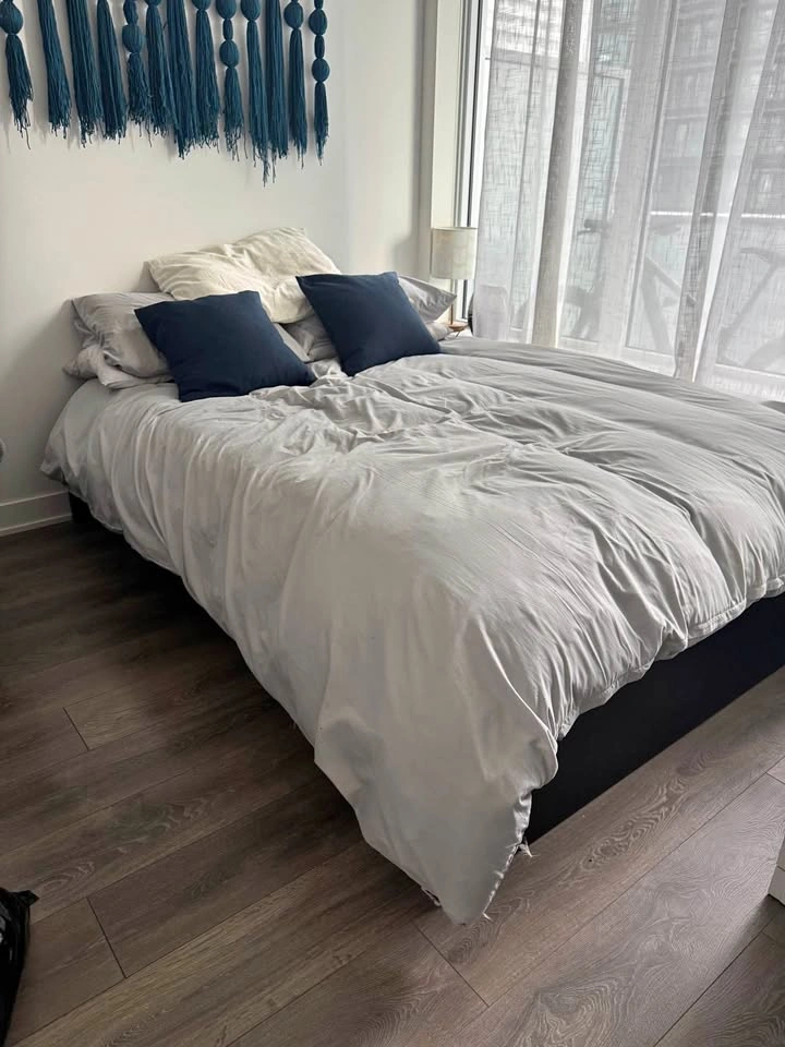 Ikea Malm bed frame -Queen Size