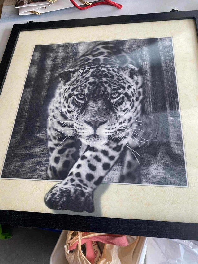 pictures 2 for $25 - photo 2