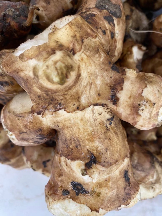 Organic fresh Sunchoke from my garden