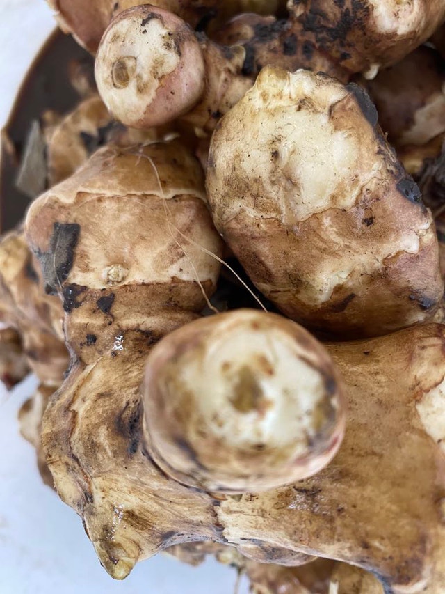 Organic fresh Sunchoke from my garden - photo 2