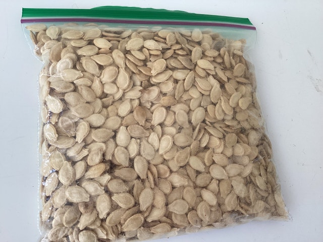 Round Wintermelen Seed
