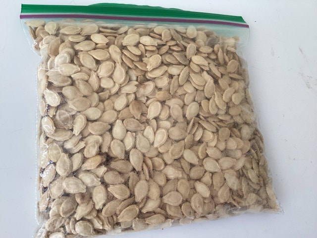 Round Wintermelen Seed - photo 2