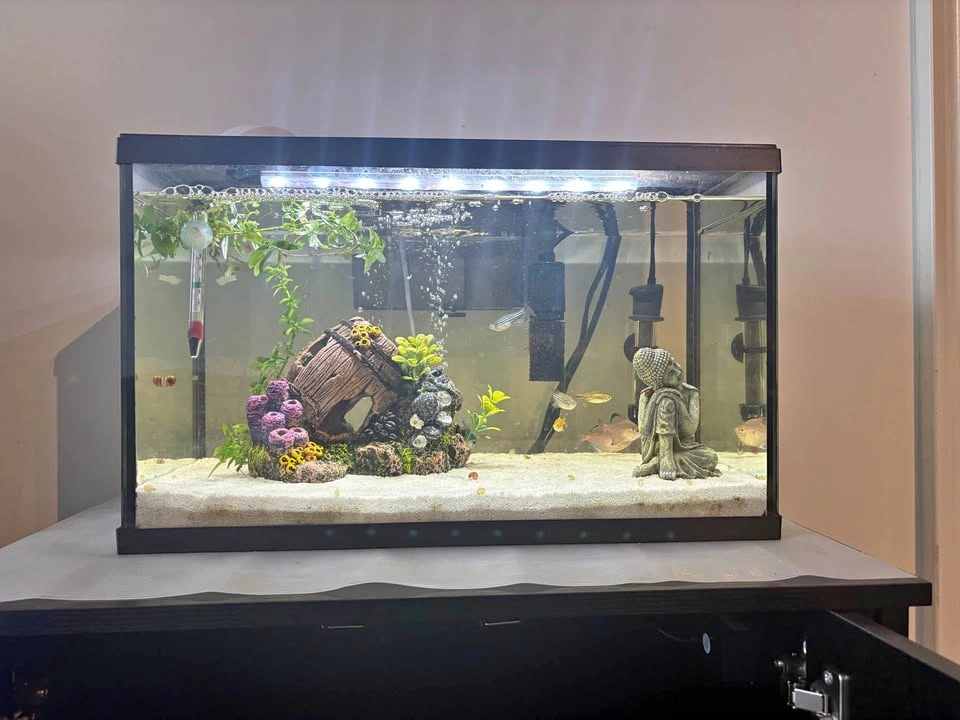 Marina LED Aquarium Kit, 38 Litre (10 US Gallon)