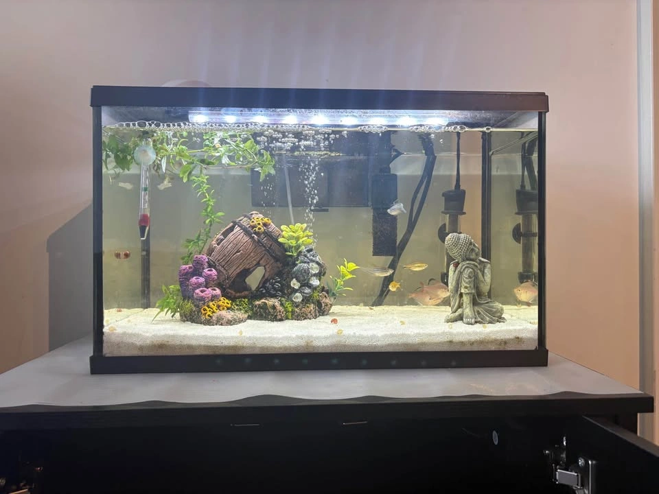 Marina LED Aquarium Kit, 38 Litre (10 US Gallon) - photo 2