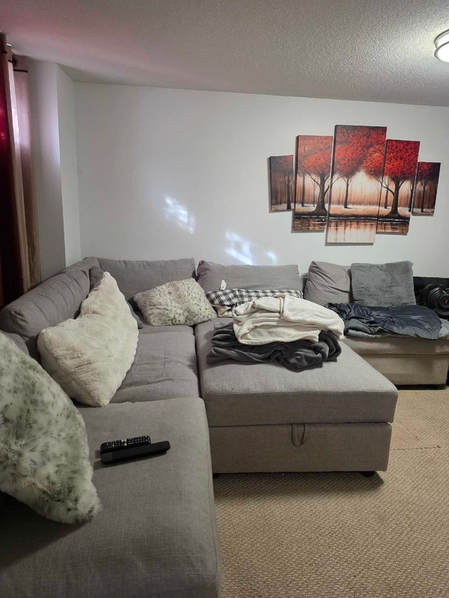 large couch for sale - photo 2
