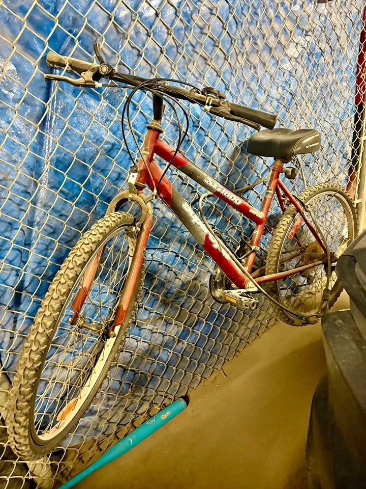 SuperCycle Mountain Bike Red