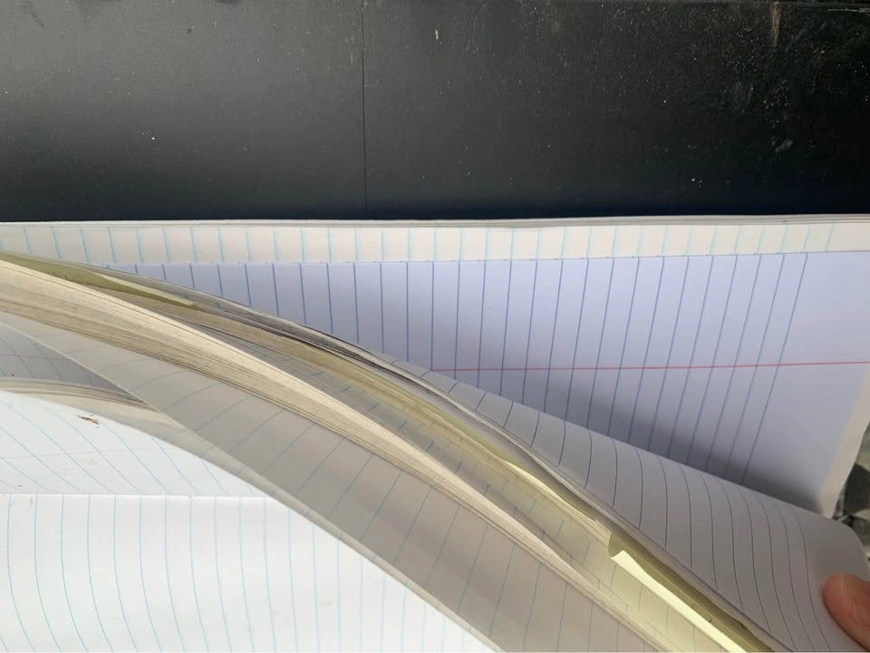 Lined Paper - photo 3