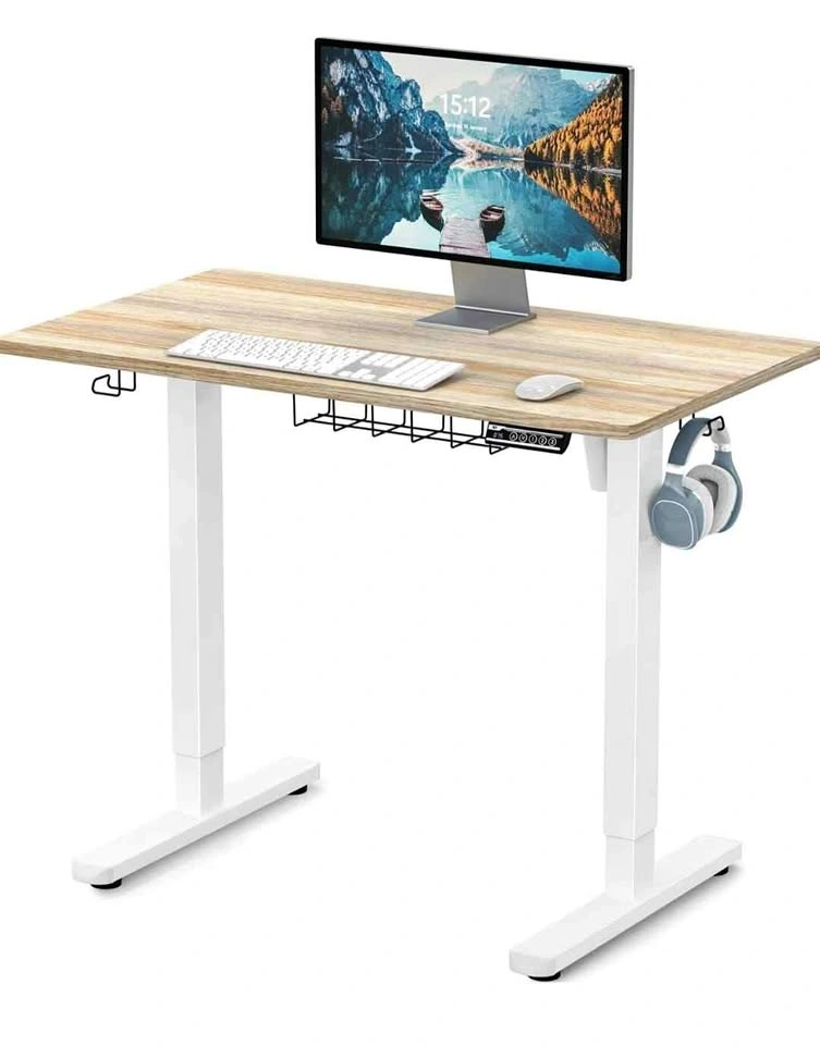 40 x 22 Inches Electric Height Adjustable Standing Desk