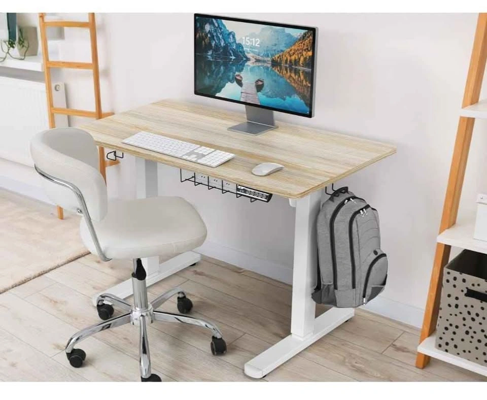 40 x 22 Inches Electric Height Adjustable Standing Desk - photo 5