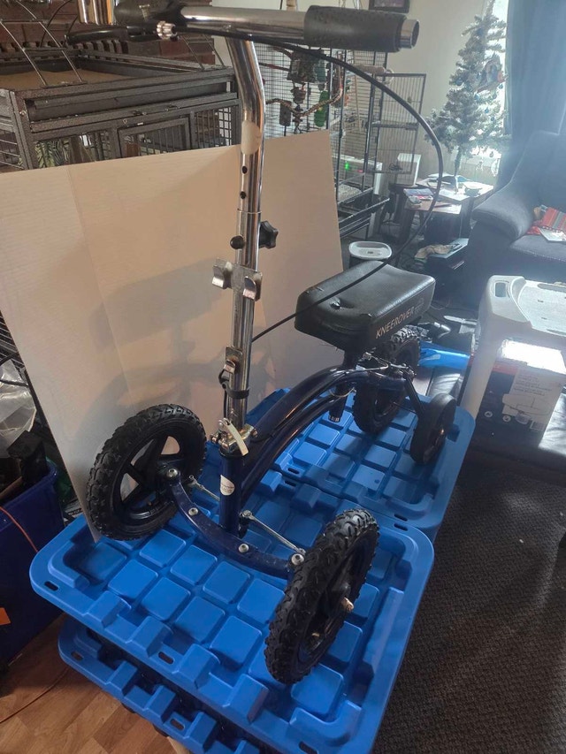 Knee Rover Scooter