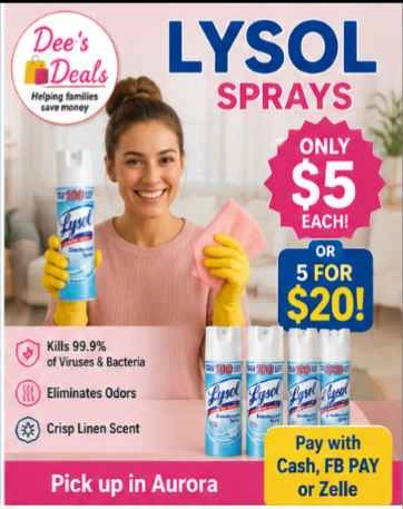 Big Cans of Lysol $5 each - photo 3