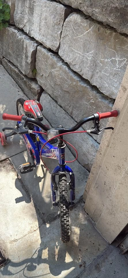Kids 16” Louis Garneau bike with training wheels - photo 5