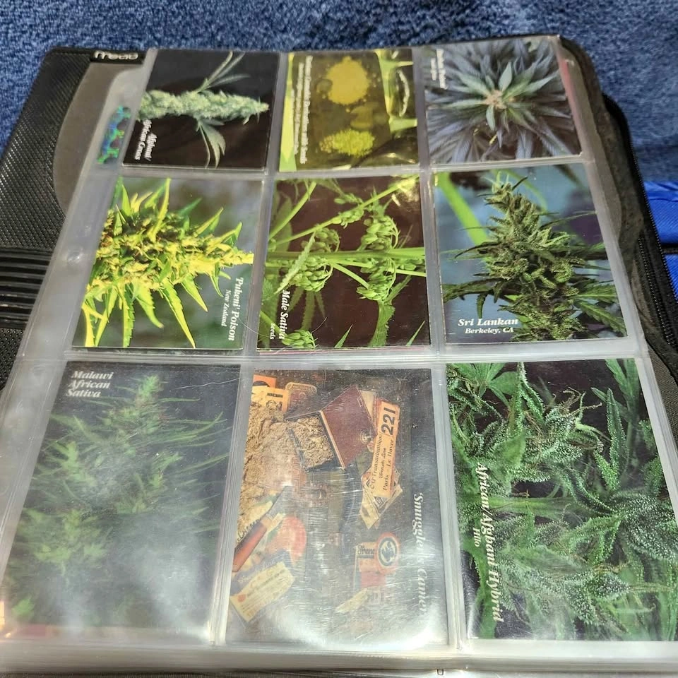 1999 Cannabis Cards