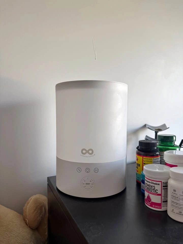 Everlasting Comfort 2.5L Humidifier