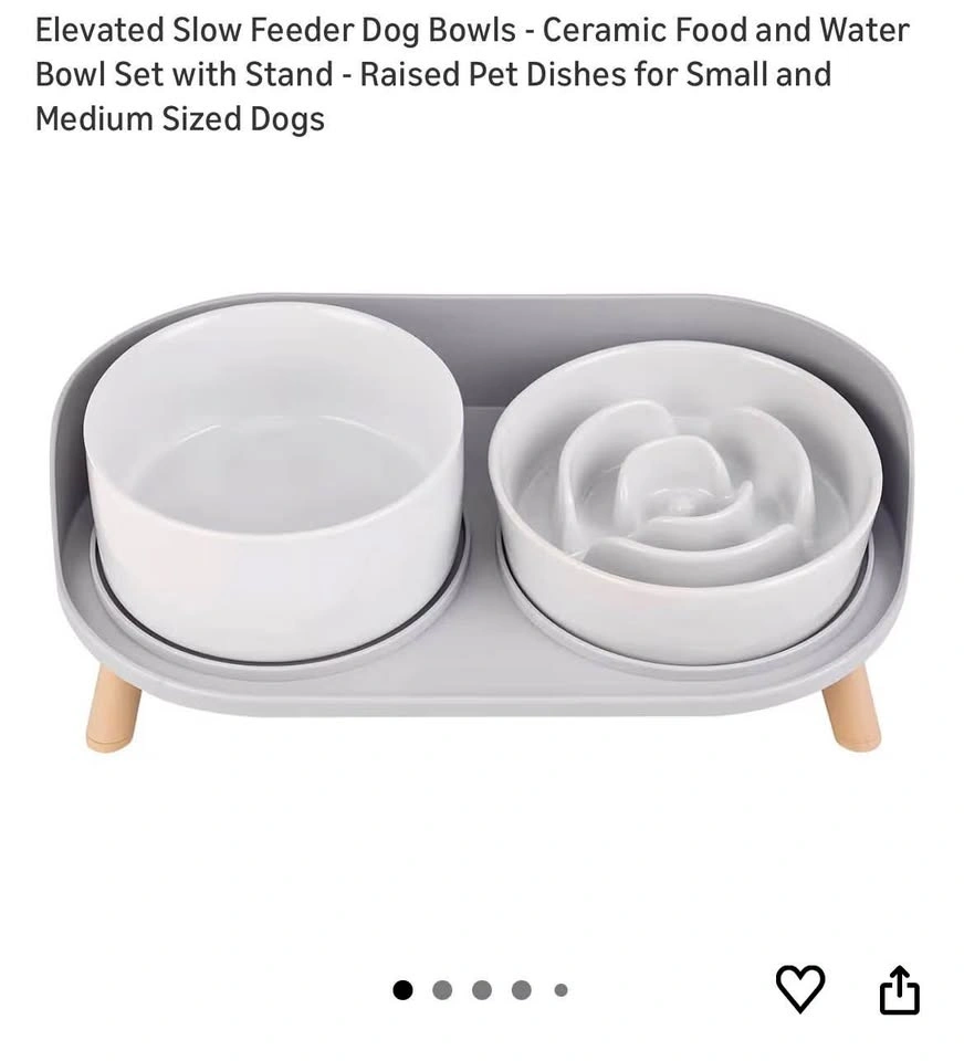 Elevated Slow Feeder Dog Bowls - Ceramic Set with Stand