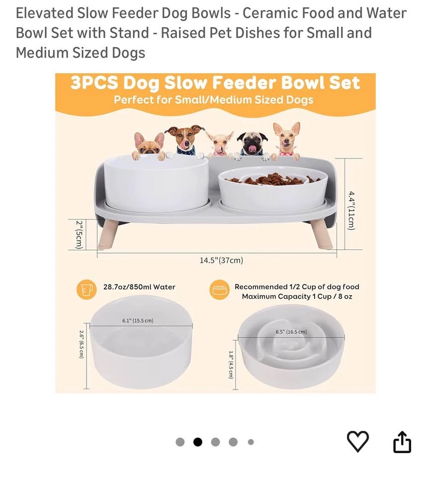 Elevated Slow Feeder Dog Bowls - Ceramic Set with Stand - photo 2