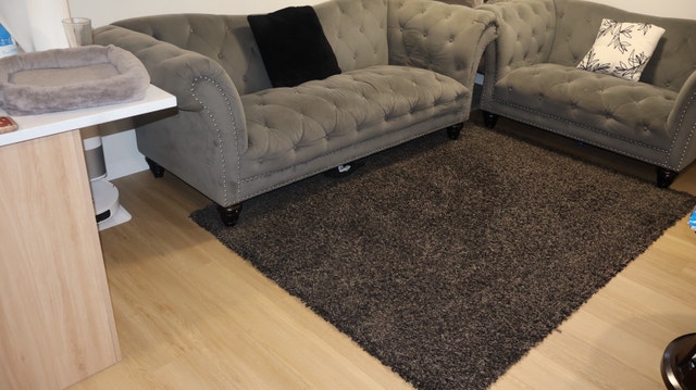 Living Room Rug