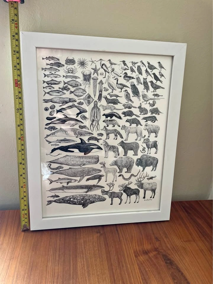 Framed Animal Print