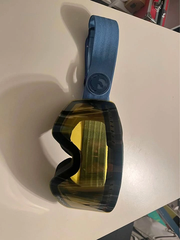 Dragon Alliance NFX Goggles