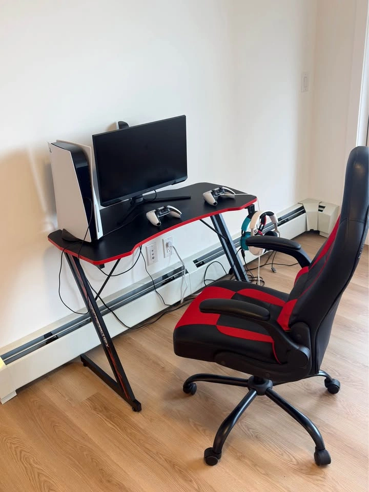 Gaming Set-up (Desk and Chair)