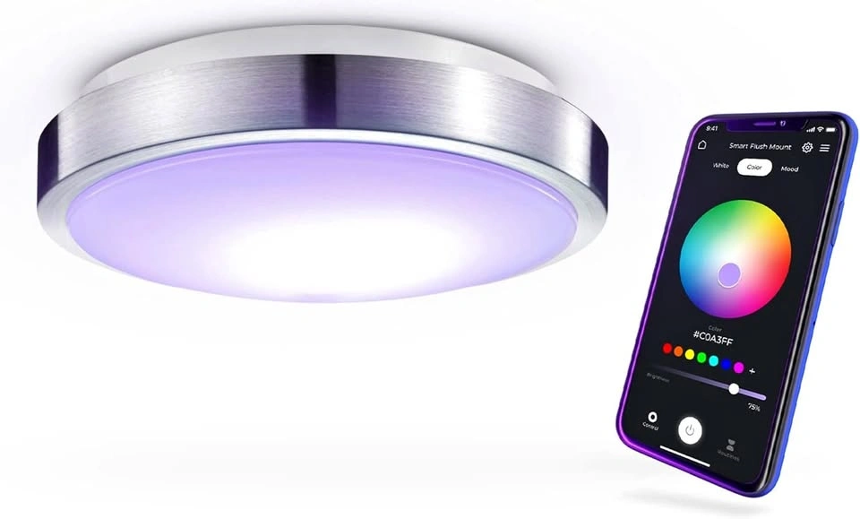 Flush Mount SmartLight (2 Available)