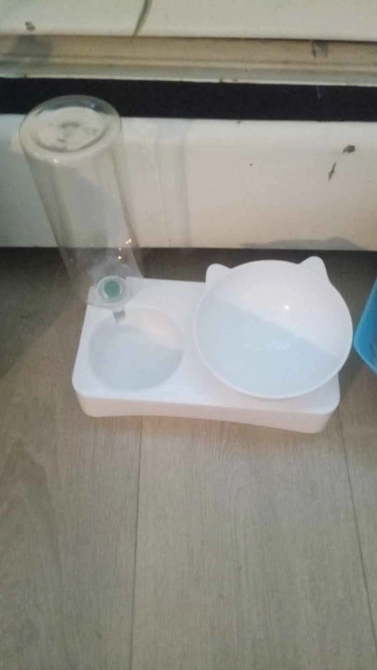 Cat supplies and treats - photo 2