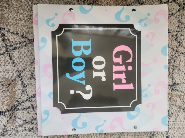 Girl or Boy? Large Gender Reveal Box - Pink/Blue, Like New