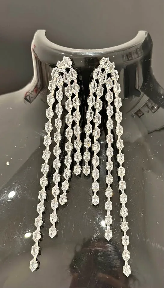 Long silver studded danglers/ earrings thumbnail