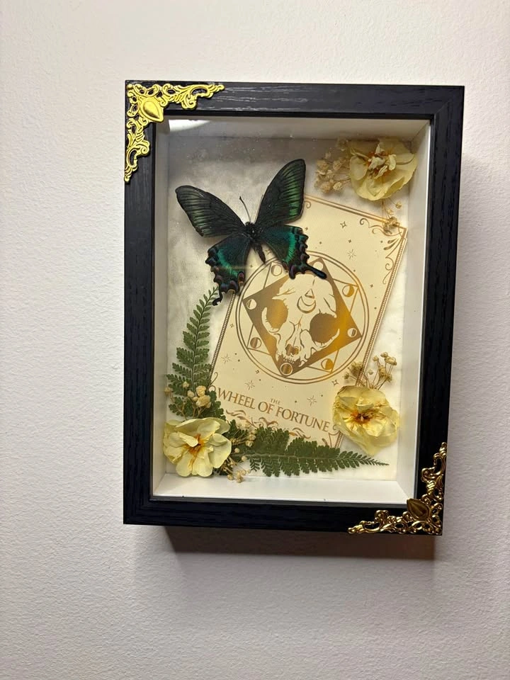 Alpine Black Swallowtail Tarot Frame