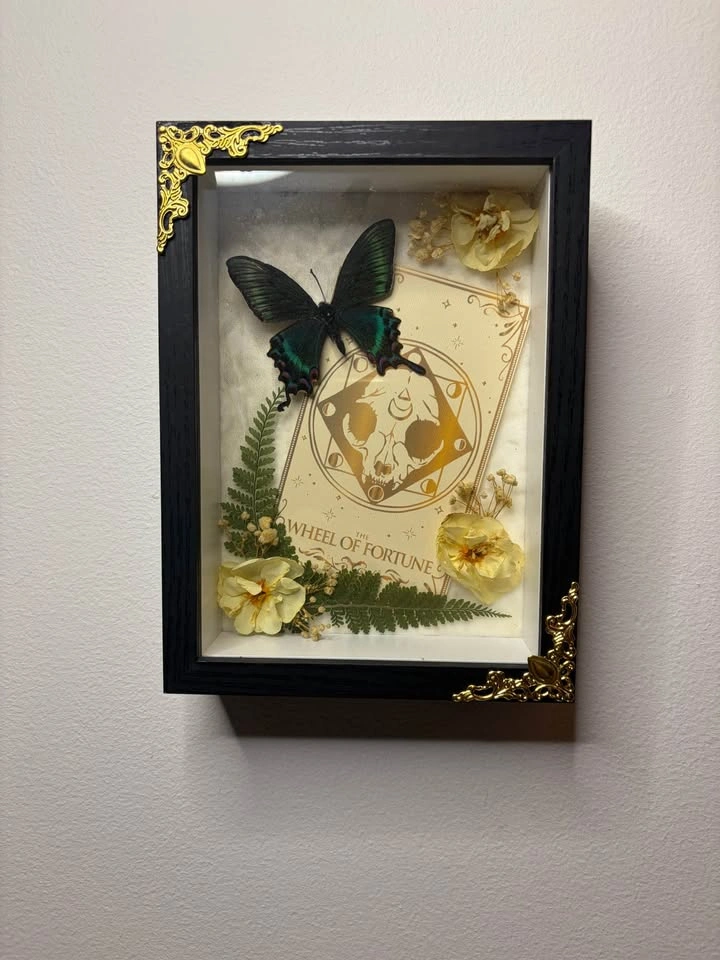 Alpine Black Swallowtail Tarot Frame - photo 2