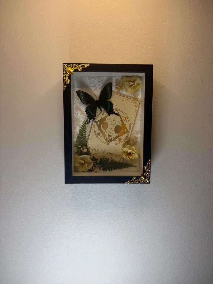 Alpine Black Swallowtail Tarot Frame - photo 3