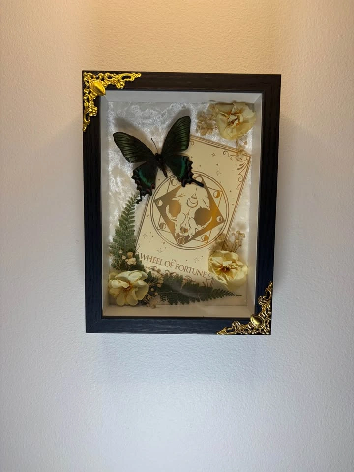 Alpine Black Swallowtail Tarot Frame - photo 4