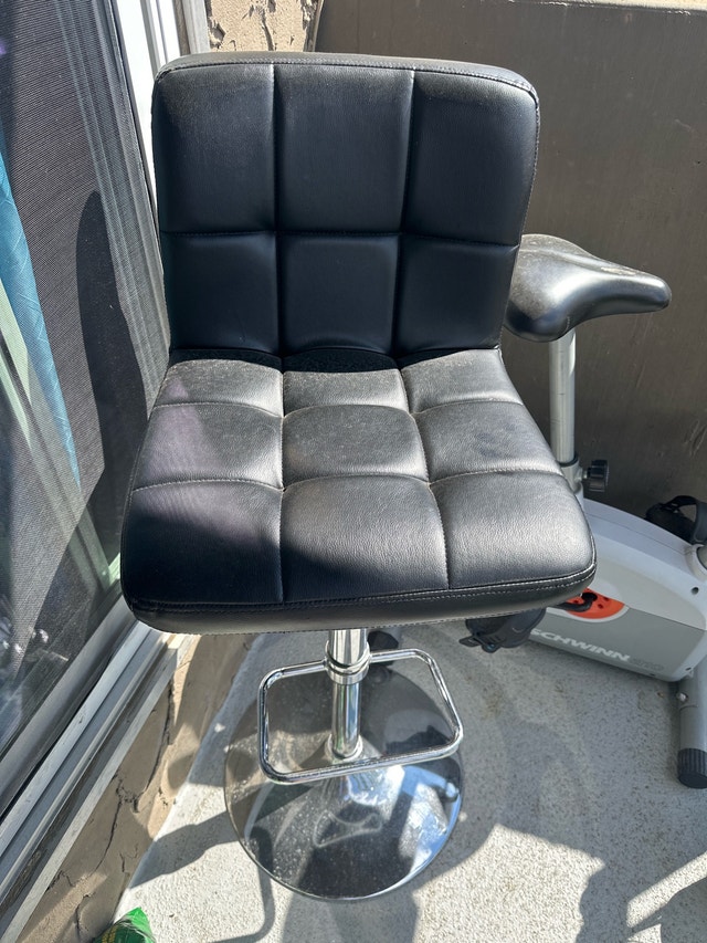 Adjustable Bar Stool