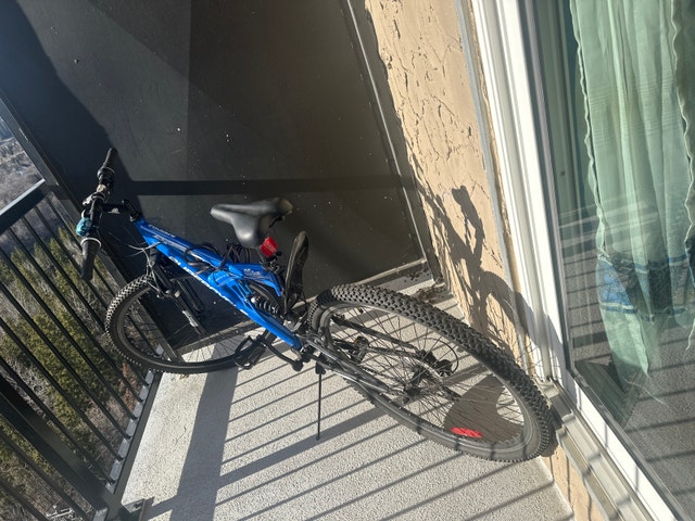 Supercycle NS Dual original price 380 plus taxes.