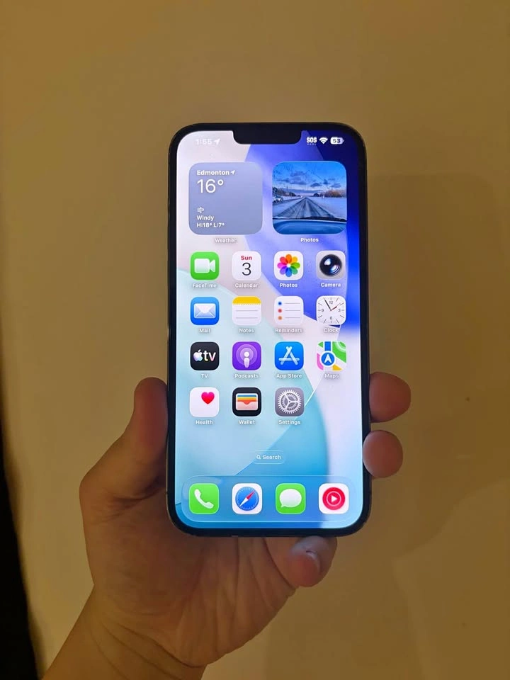 iPhone 13 Pro Max Alpine Green - AppleCare+ Active