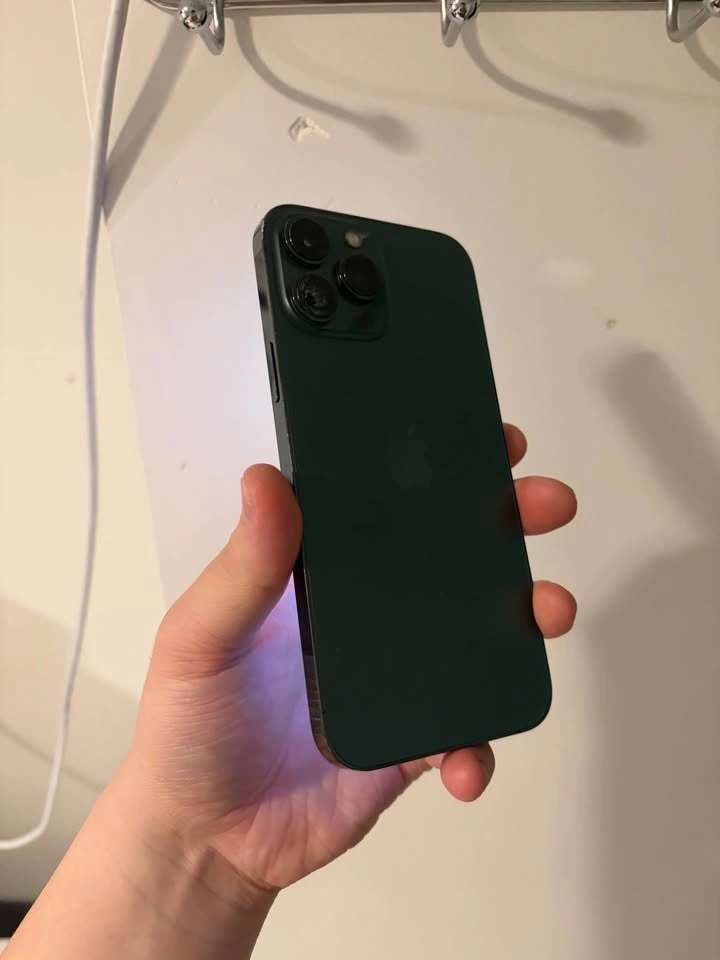 iPhone 13 Pro Max Alpine Green - AppleCare+ Active - photo 2