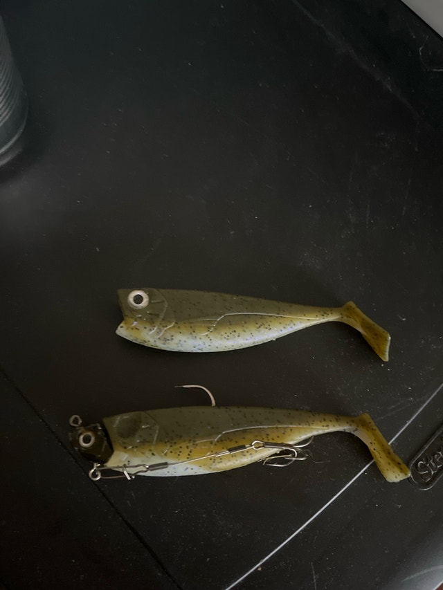paddle tails lure