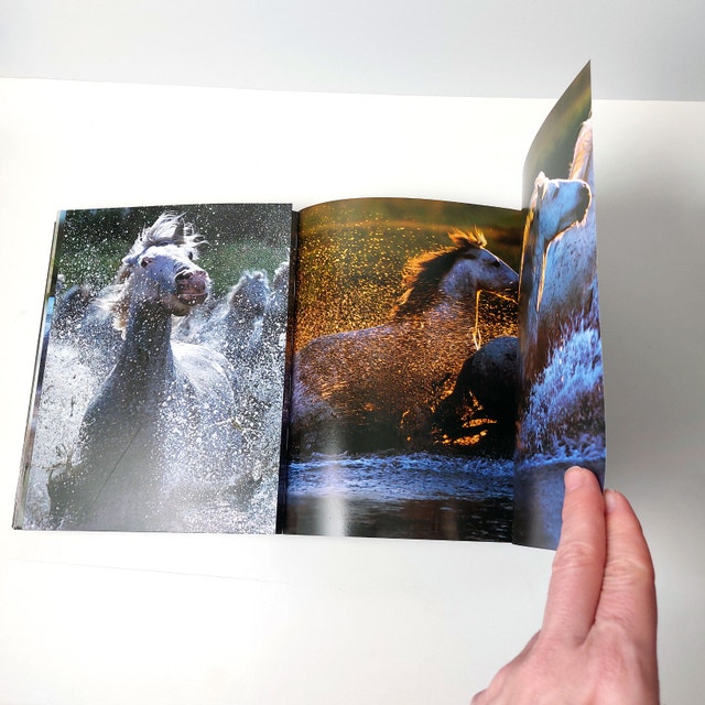 Untamed by Steve Bloom - Animal Photo Book (Paperback) - photo 4