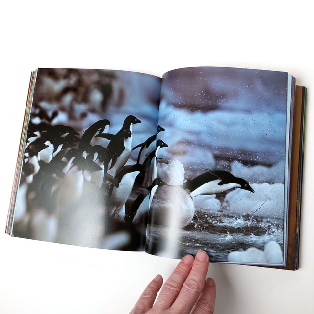 Untamed by Steve Bloom - Animal Photo Book (Paperback) - photo 5