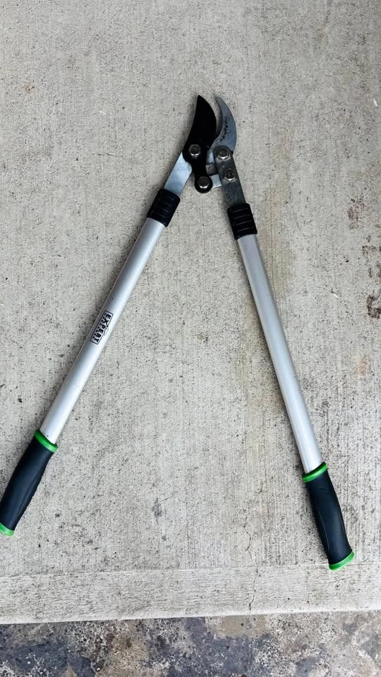 29 inch Lopping Shears