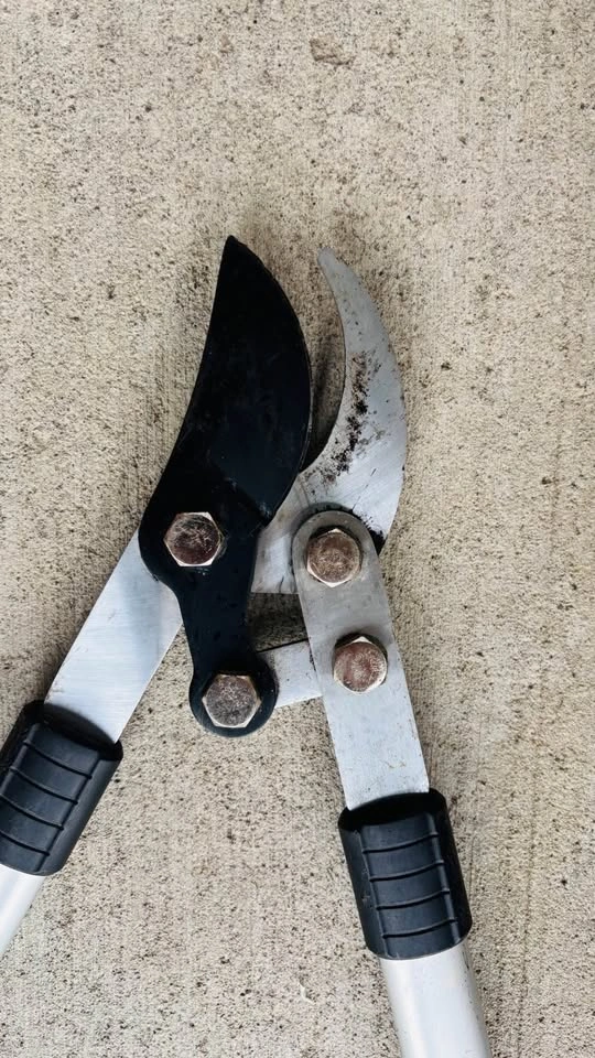 29 inch Lopping Shears - photo 2