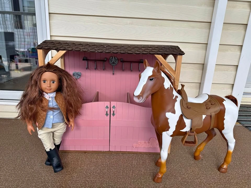 Our Generation 18” doll, horse and stable