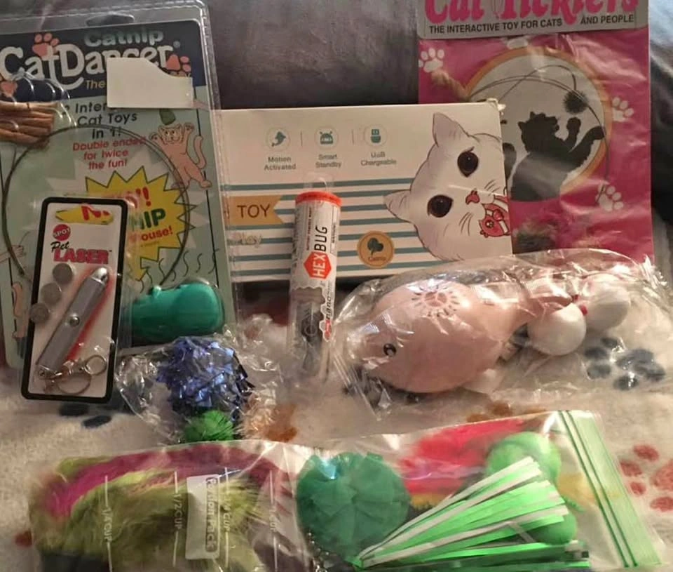 Cat Toys: Fish, Ball, Dancers, HEXBUG, Laser, Wand Replacements