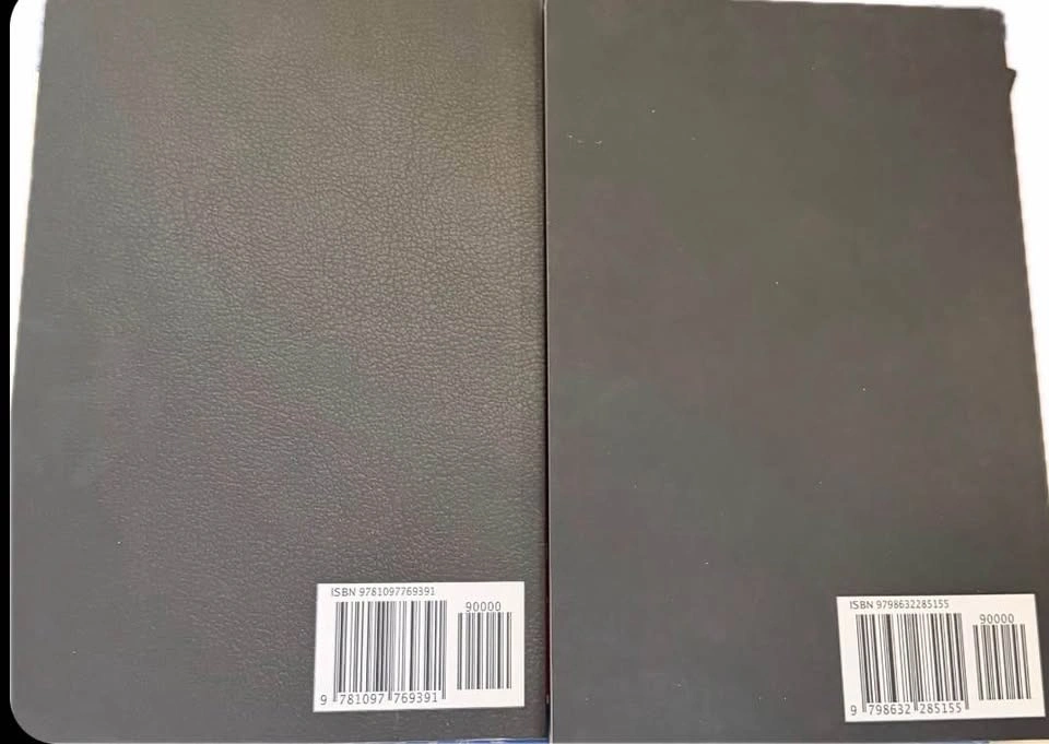 The Infernal Gospel & Unholy Bible by Rev. Cain - NEW - photo 2
